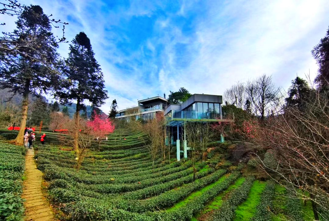 瓦力游戏·(中国区) - 官方网站